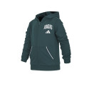 Adidas Moda Campera Con Capucha Adidas Seasonal Essentials Nio Nia Verde