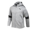 Puma Moda Campera Con Capucha Puma Evostripe Gris