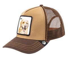 Gorra Goorin The Loyal Dog Unisex Marron