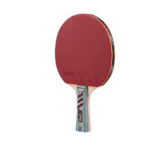 Giant Dragon Ping Pong Paleta Ping Pong 6 Professional C263