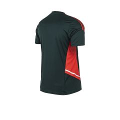 Adidas Futbol Remera De RIver Adidas Entrenamiento Verde