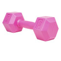 Atletic Entrenamiento Mancuerna 2KG PVC Atletic Rosa