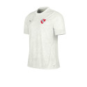 Puma Futbol Remera De Independiente Puma Entrenamiento Crudo