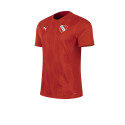 Puma Futbol Remera De Independiente Puma Prematch Roja