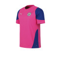 Remera De Manchester City Puma Entrenamiento Rosa