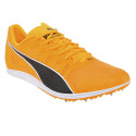 Puma Atletismo Zapatillas Clavos Atletismo Puma Evospeed Distance 11 Naranja